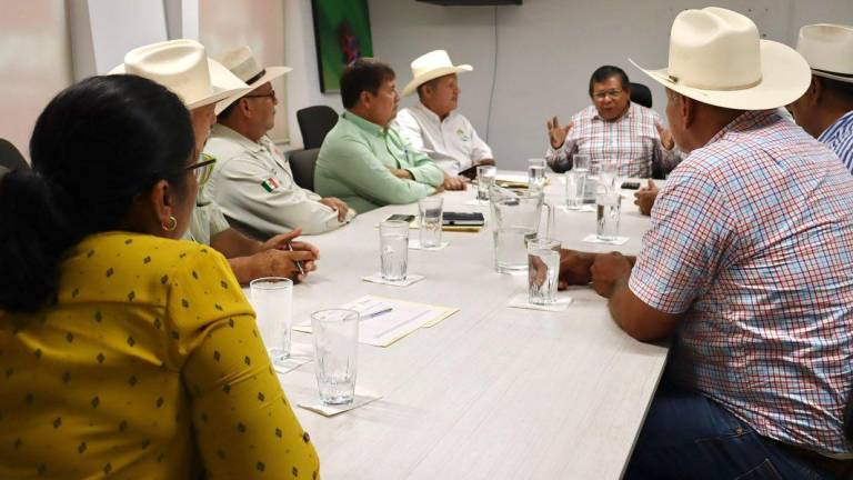 De casi un millón de cabezas en Sinaloa, alrededor de 12 mil se encuentran en proceso de detección de enfermedades, dijo el titular de la SAyG.