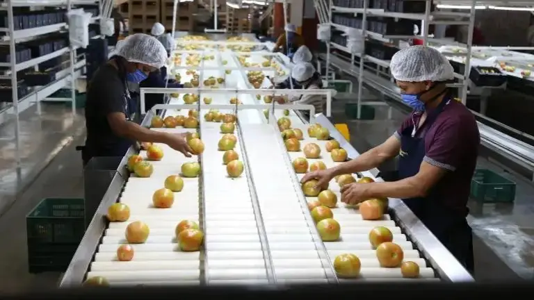 La disminución se explica principalmente por la baja en trabajadores eventuales.