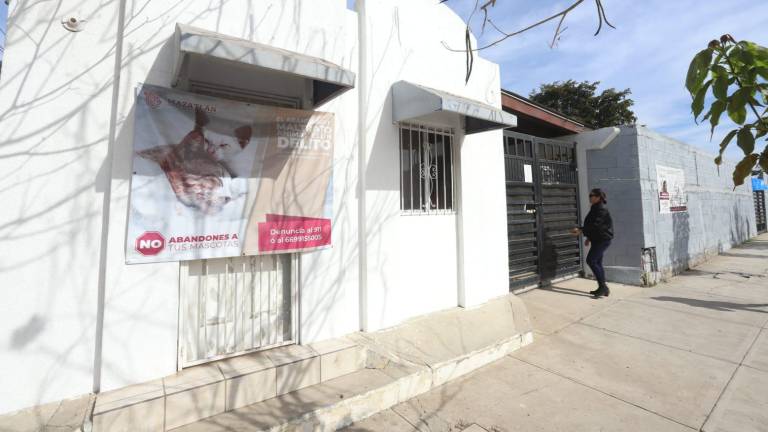 Se busca que Refugio de Animales de Mazatlán crezca en su capacidad: Alcalde