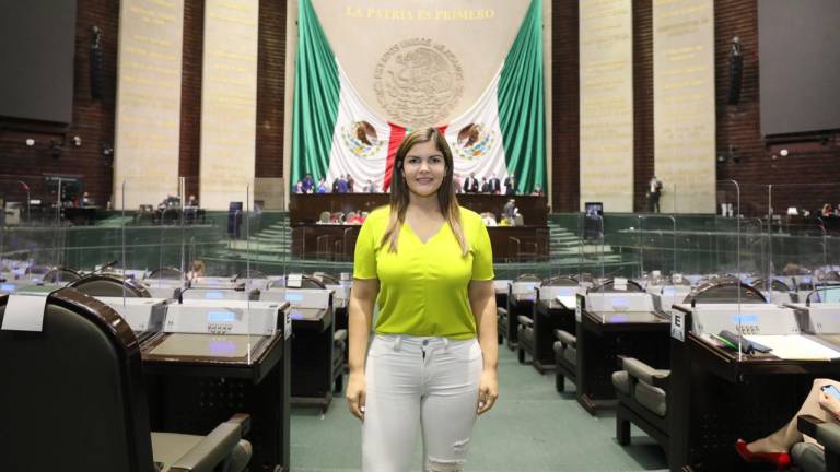 La legisladora federal Merary Villegas, en la Cámara de Diputados