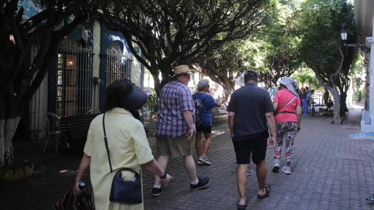 Una advertencia de seguridad mantiene a la mayoría de los cruceristas sin descender en Mazatlán, afectando la demanda del servicio, advierten transportistas.