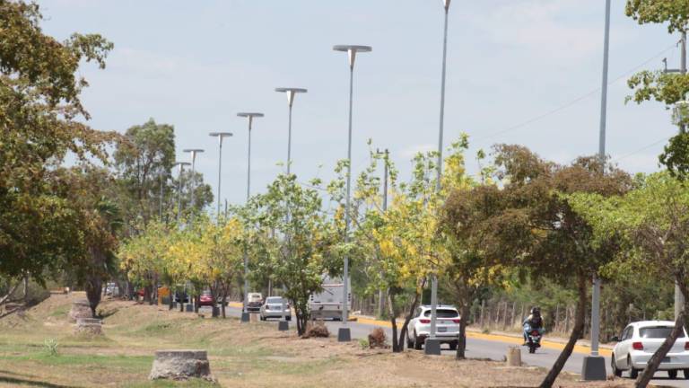 En un espacio de 17 cuadras, instalan 198 lámparas led en la Canseco, en Mazatlán