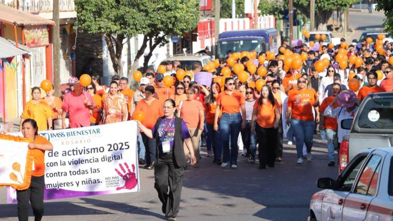 Conmemoran en Rosario el Día Internacional de la Eliminación de la Violencia contra la Mujer