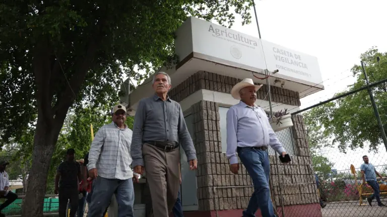 Sader iniciará el lunes pago de apoyo de 800 pesos a productores de maíz en Sinaloa: agricultor