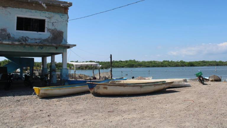 Productores de la zona aseguran que de nada sirvió el que se extendiera la veda hasta este 28 de septiembre.