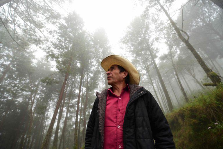 $!Jorge Zavaleta camina en los senderos de la zona donde está el bosque más joven y el área de reforestación.