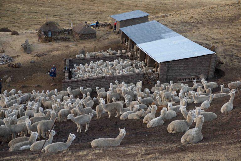 $!Día mundial de la adaptación al cambio climático: cuatro ejemplos exitosos en América Latina que necesitan ser apoyados