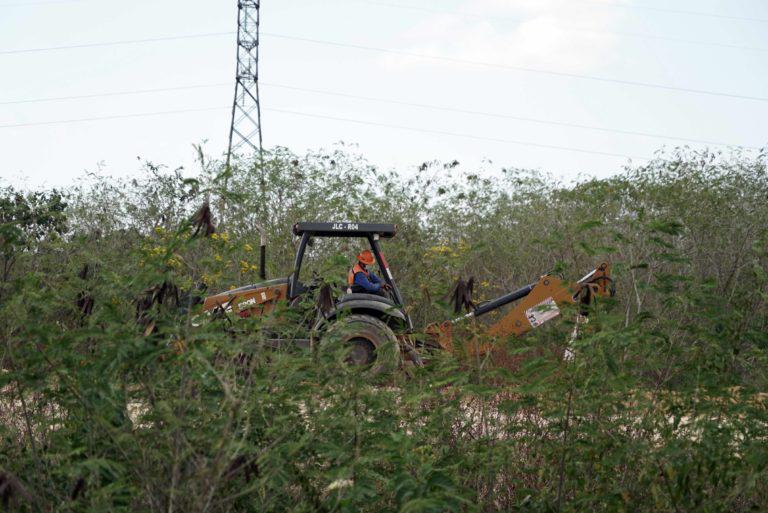 $!Decenas de cuadrillas de trabajadores operan maquinaria pesada a lo largo de la vía a la altura de Maxcanú, Yucatán.
