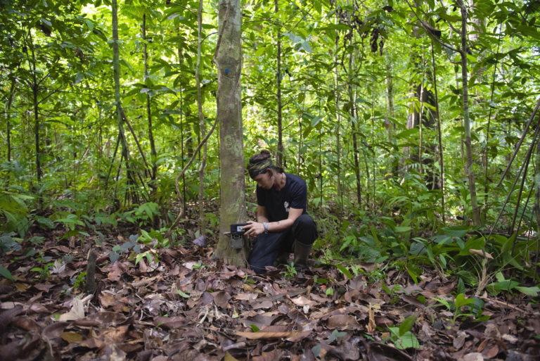 $!Markus Mejía es uno de los investigadores de Conservación Osa que trabaja en el monitoreo del corredor biológico mediante cámaras trampa. Foto: Nina Cordero.