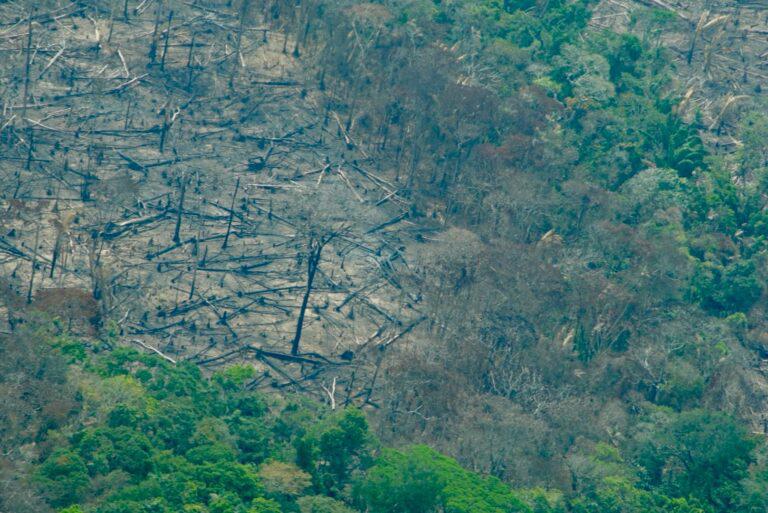 $!Sobrevuelo por zonas deforestadas de Colombia en 2025, como Meta, Guaviare y Caquetá.