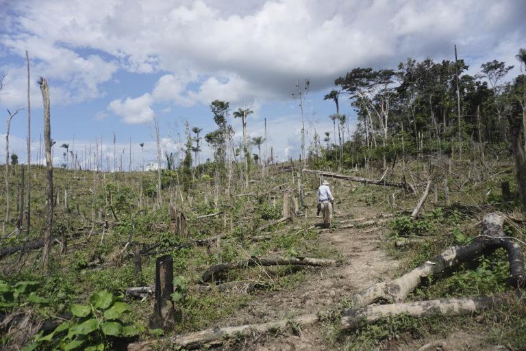 $!Así se ve la finca en el Parque Nacional Chiribiquete, Colombia, de donde sale ganado que ha llegado a varios supermercados.