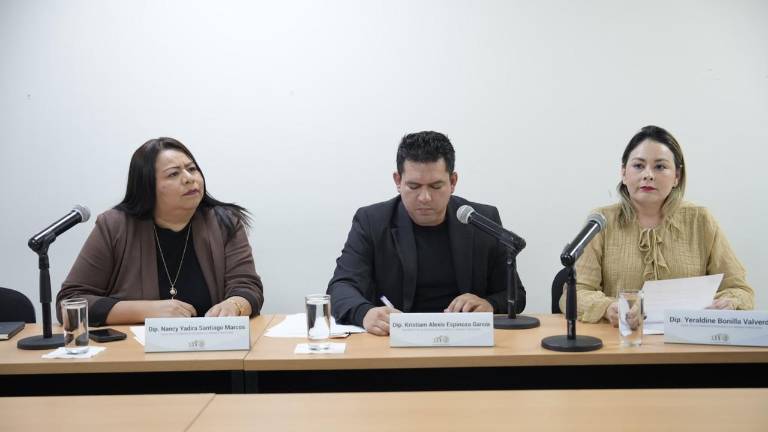 La comisión planteó la opción de presentar una reforma a la Ley a fin de que estos servicios se cataloguen como servicio de transporte privado especializado.