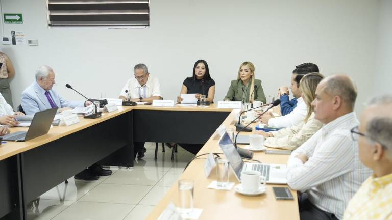 Los resultados fueron presentados por personal de la ASE durante una reunión de la Comisión de Fiscalización.