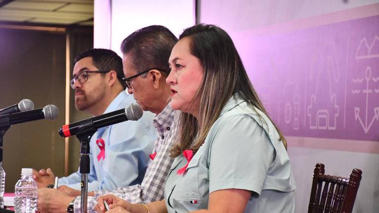 La vocera Verona Hernández aclaró que la explicación del ataque corresponde a las corporaciones federales.