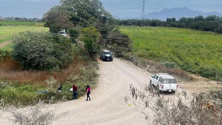 Un hombre asesinado, en estado de descomposición, fue localizado al sur de Mazatlán, en un camino del poblado de El Pozole.