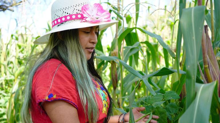 Xananine Calvillo durante un recorrido por la milpa tradicional resguardada por su compañera María y su familia en la comunidad de San Marcos Tlacoyalco.