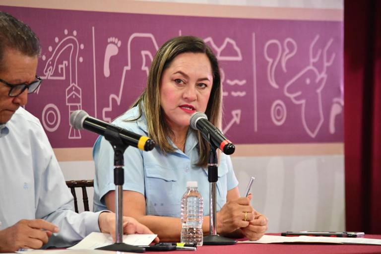 Medida contra polarizado en vehículos ayuda a prevenir delitos en Sinaloa: SSPE