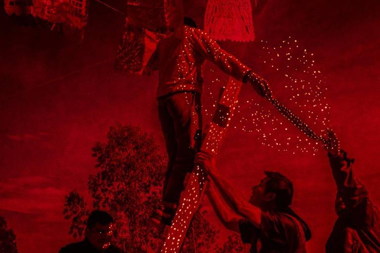 Montaña estrella- Flor del tiempo