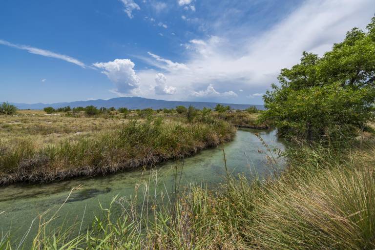 Salvar o destruir el Valle de Cuatrociénegas