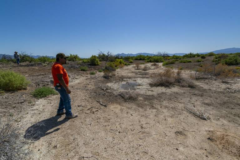 Salvar o destruir el Valle de Cuatrociénegas