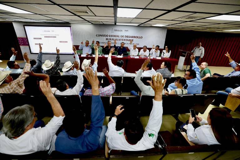Aprueban autoridades y productores superficie de siembra para ciclo agrícola en Sinaloa