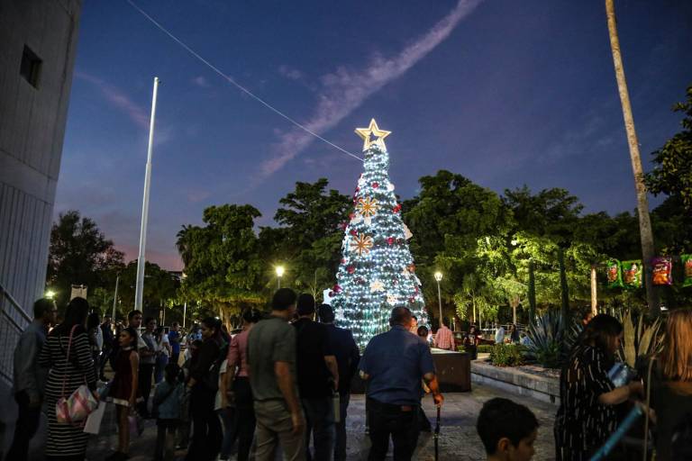 Encienden la Navidad con un llamado de armonía familiar