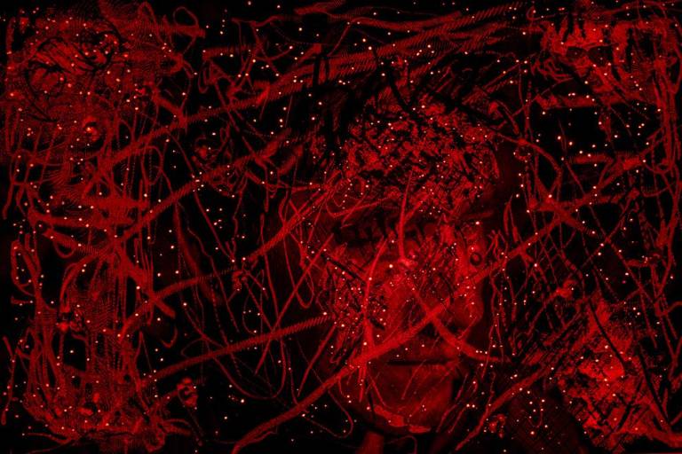 Montaña estrella- Flor del tiempo