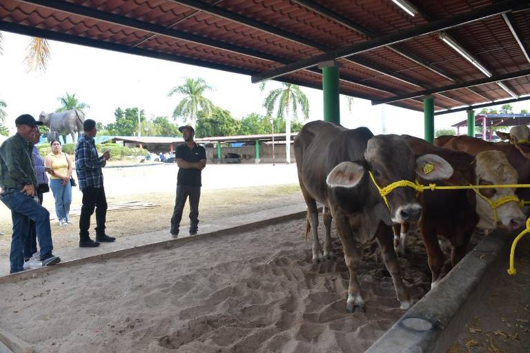 Registra Feria Ganadera de Culiacán 4 mil asistentes en su segundo día: Rocha