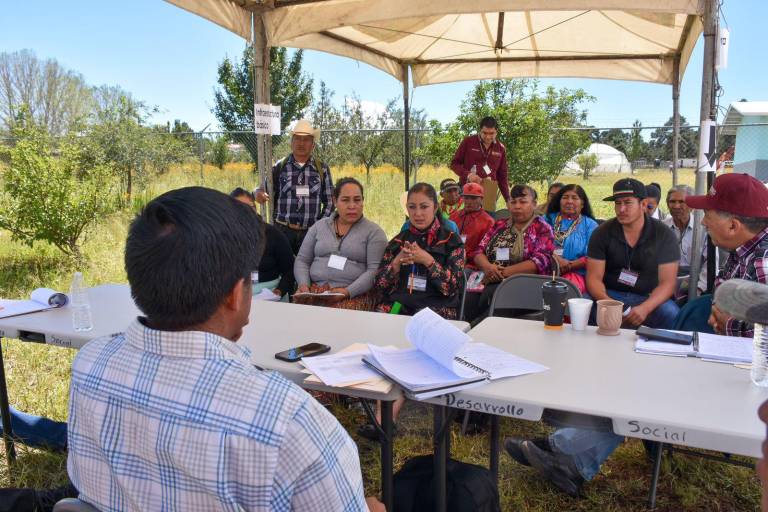 Plan de Justicia de la Sierra Tarahumara defiende derechos inalienables de los pueblos indígenas a sus tierras, bosques y agua