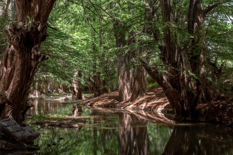 Vive un verano de película en Durango: “Donde los efectos especiales son reales”