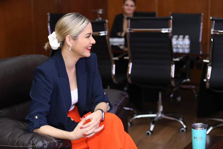 Van muy avanzadas negociaciones con artistas para el Carnaval