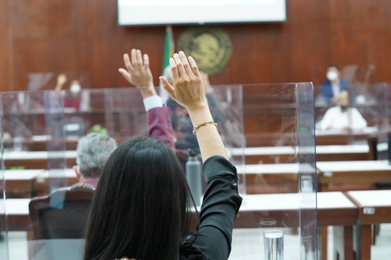 Exigen diputados de Sinaloa que se castigue al agresor del perrito ‘Rodolfo Corazón’