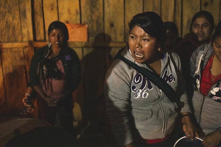 Montaña estrella- Flor del tiempo