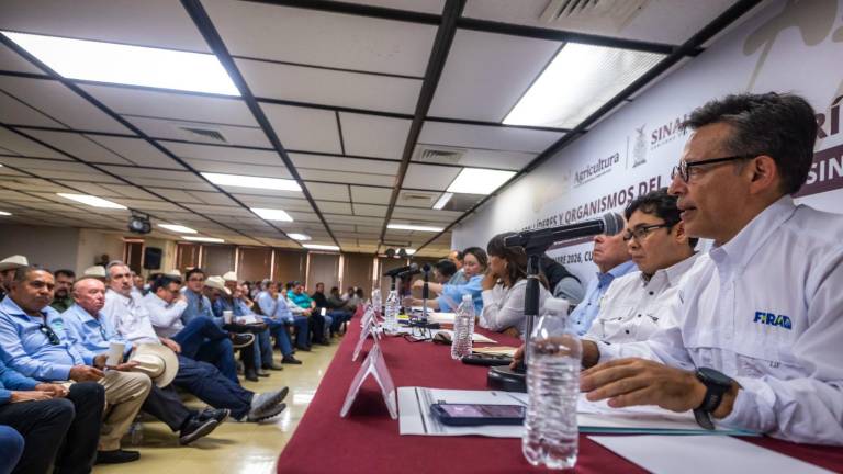 Reunión de productores agrícolas de Sinaloa con la Secretaria de Agricultura, Columba López.