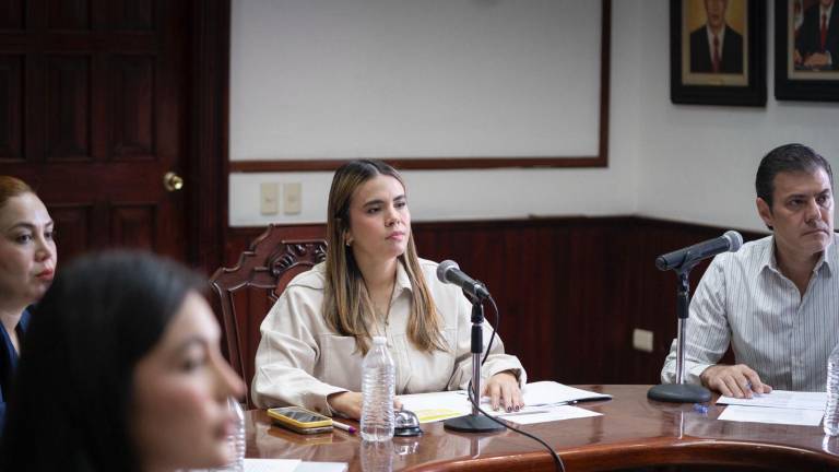 El Cabildo aprobó por unanimidad la recepción de cuatro terrenos que serán utilizados para la construcción de áreas verdes.