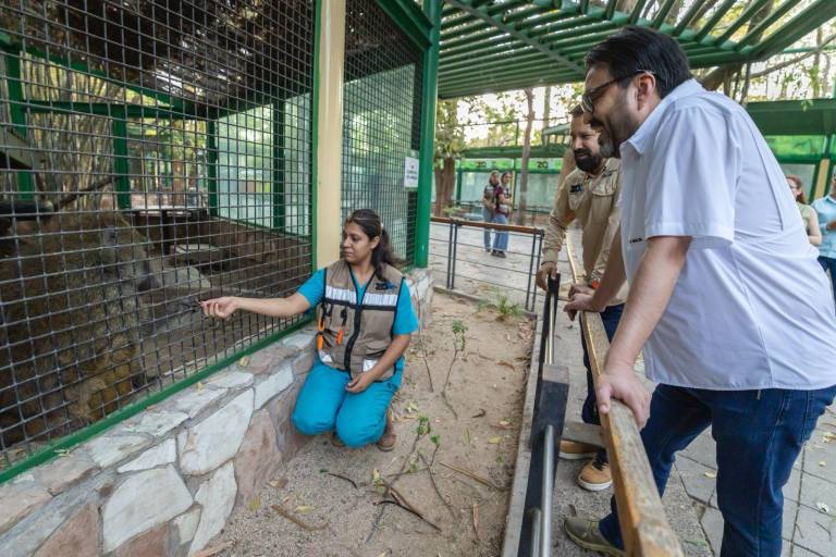 Comprueba Zoológico de Culiacán procedencia de 119 animales y solventa irregularidades