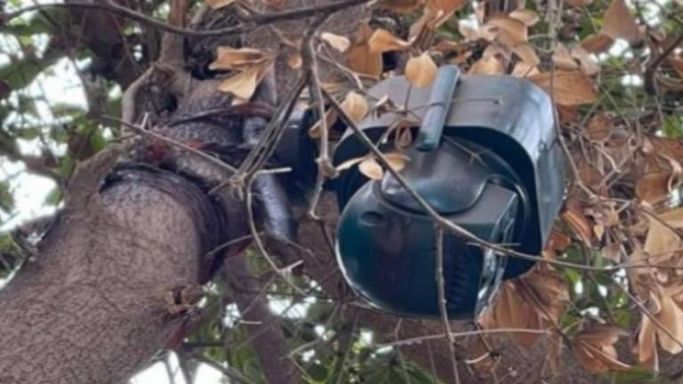 Las cámaras ocultas con celdas solares fueron retiradas por el Ejército en comunidades de Navolato.