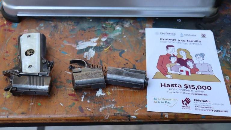 Los que lleven armas de fuego o explosivos podrán recibir hasta 15 mil pesos por cada artefacto.