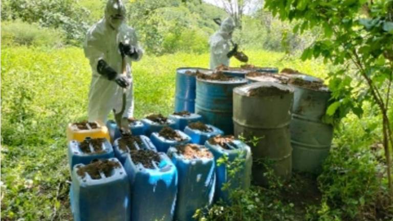 Elementos del Ejército Mexicano realizaron distintos operativos en los municipios de Culiacán, Elota y Cosalá.