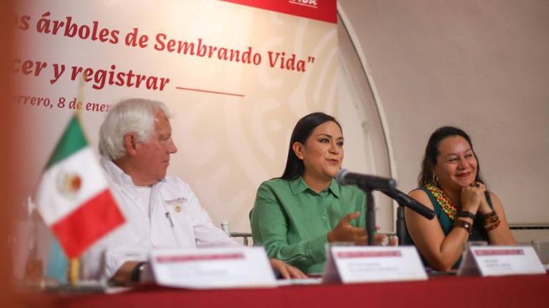 Funcionarios federales anunciaron las acciones a seguir con el programa Sembrando Vida.