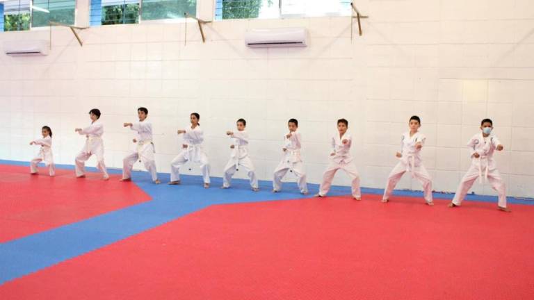 El karate es una de las disciplinas en las que la UAS imparte clases.