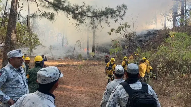 Incendio forestal registrado en Concordia en años recientes.