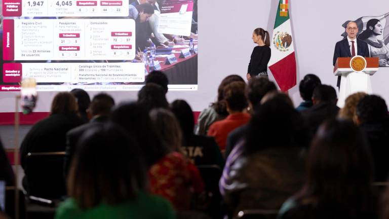 Peña Merino detalló que el desarrollo de la plataforma ya está concluido.