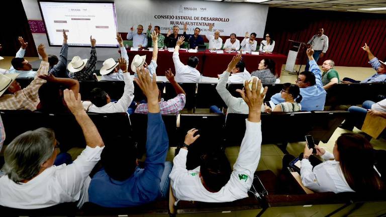 Entre gobierno y sector agrícola estatal se acordó la superficie de siembra para ese periodo.