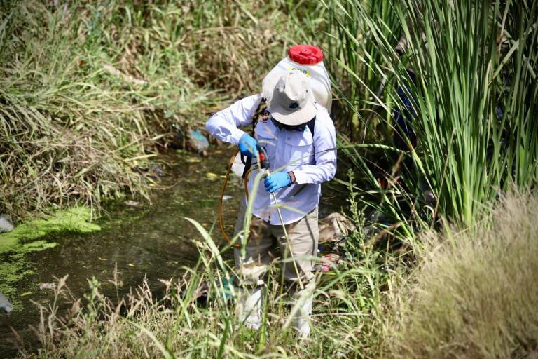 Salud Sinaloa registra en Eldorado, Culiacán y Escuinapa la mayor tasa de dengue