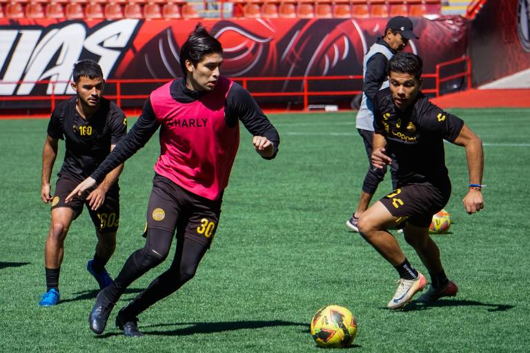 Dorados de Sinaloa enfrenta a la Jaiba Brava en busca de sumar puntos clave