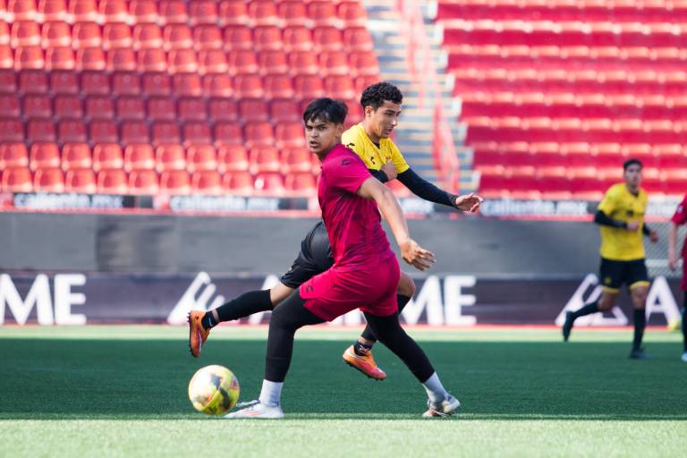 ¡Ya hay calendario para Dorados de Sinaloa!