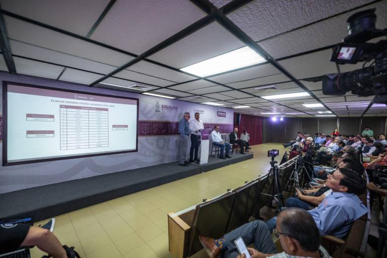 Se espera una derrama económica de 30 mil millones de pesos con la siembra de maíz