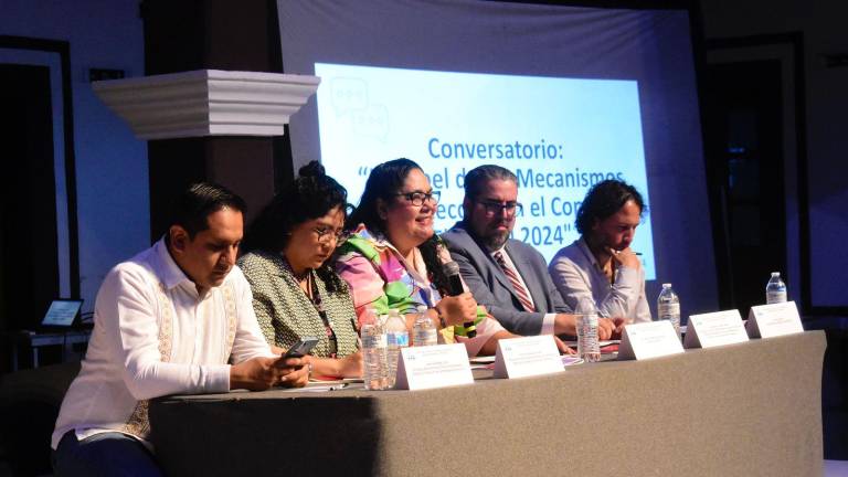 En el conversatorio “El papel de los mecanismos de protección en el contexto electoral de 2024”, se analizaron estrategias de seguridad para los periodistas y defensores de derechos humanos.