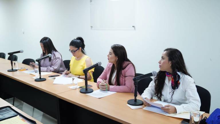 La iniciativa fue presentada por la Comisión Permanente de la Juventud y el Deporte, el Secretario de Economía y el Subsecretario de Fomento Económico.